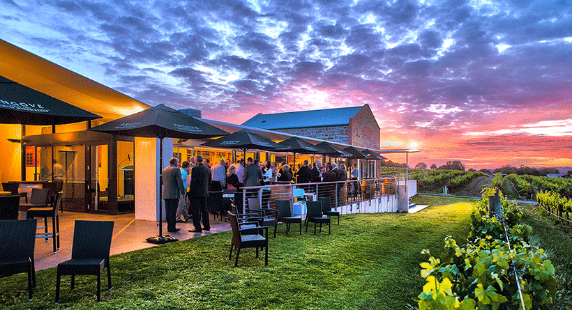 Angove Family Winemakers Sunset